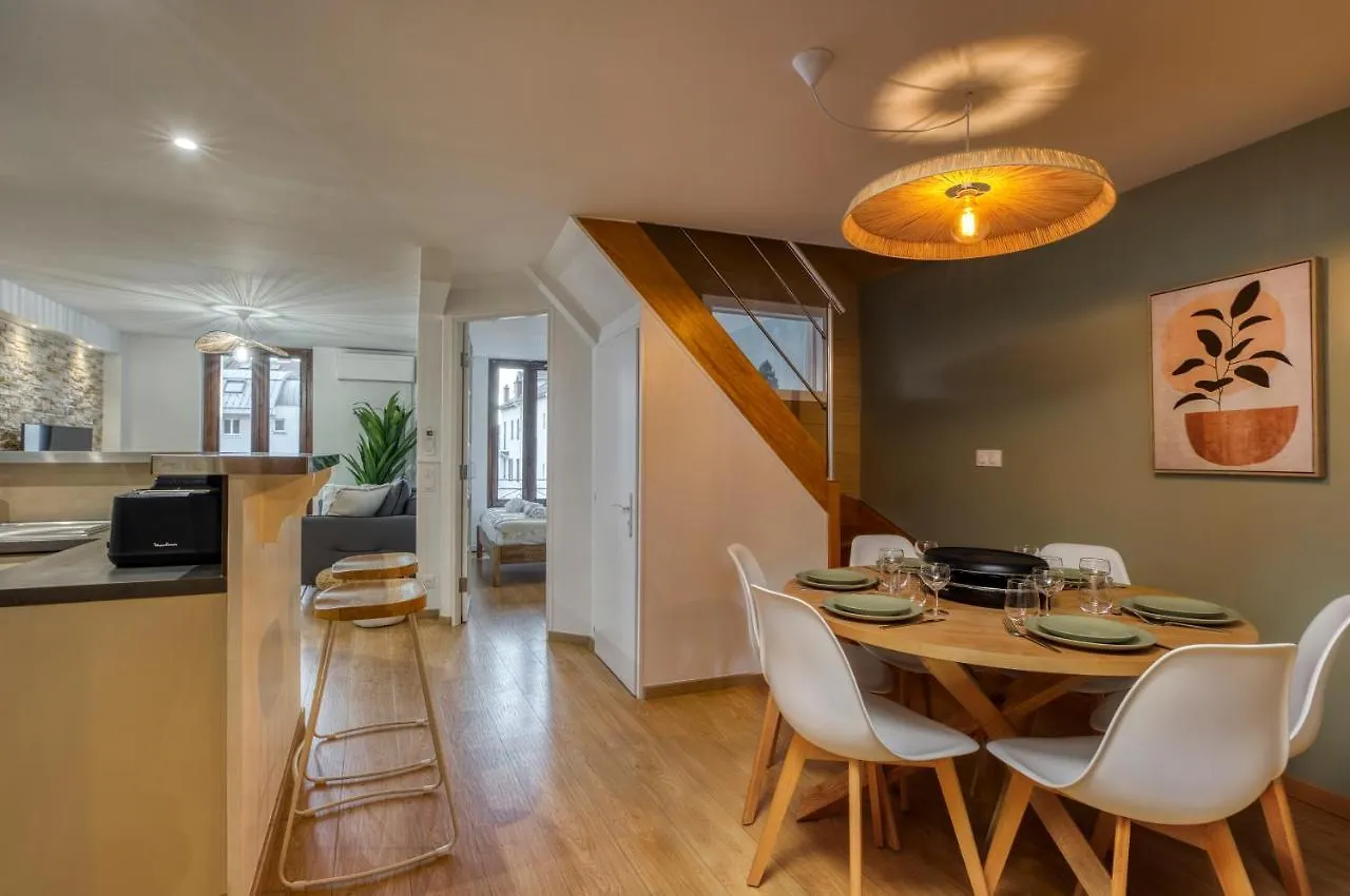 Appartement Le Carnot - Mycosyapart, Duplex Coeur De Ville Et Lac, Climatise Annecy France